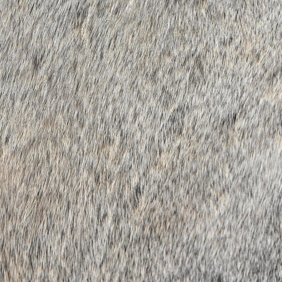 ABU_6058_97d3d616-1d1c-46bf-8d38-a82c7ccc6265_1080x